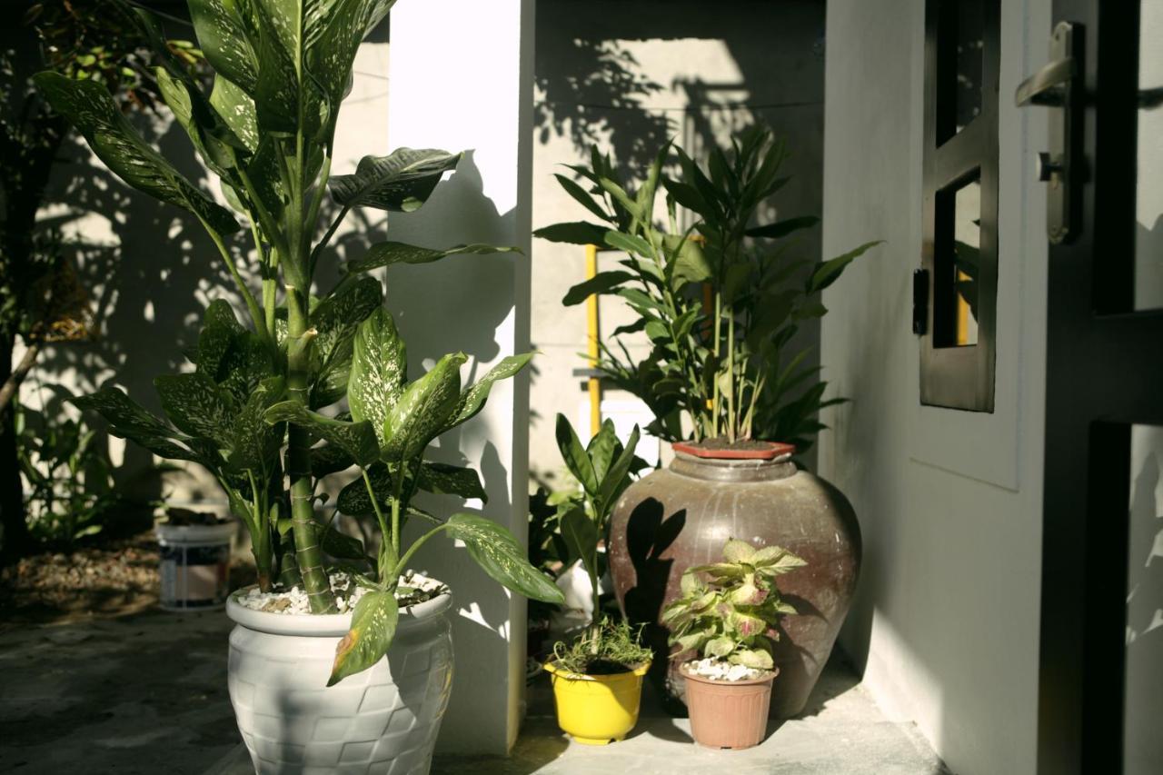 Khanh'S Home Хюэ Экстерьер фото